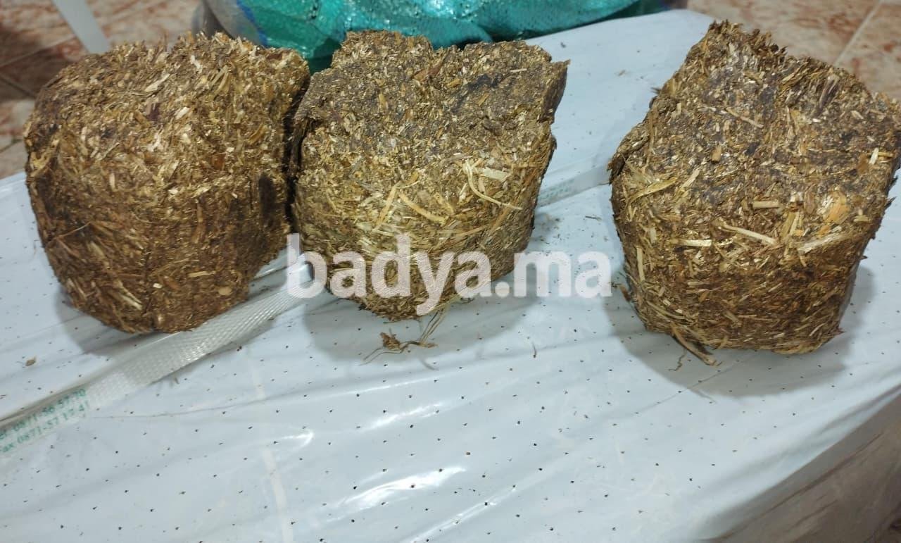 FIENOCROCK  35KG – LE PLAISIR SAIN POUR VOS CHEVAUX