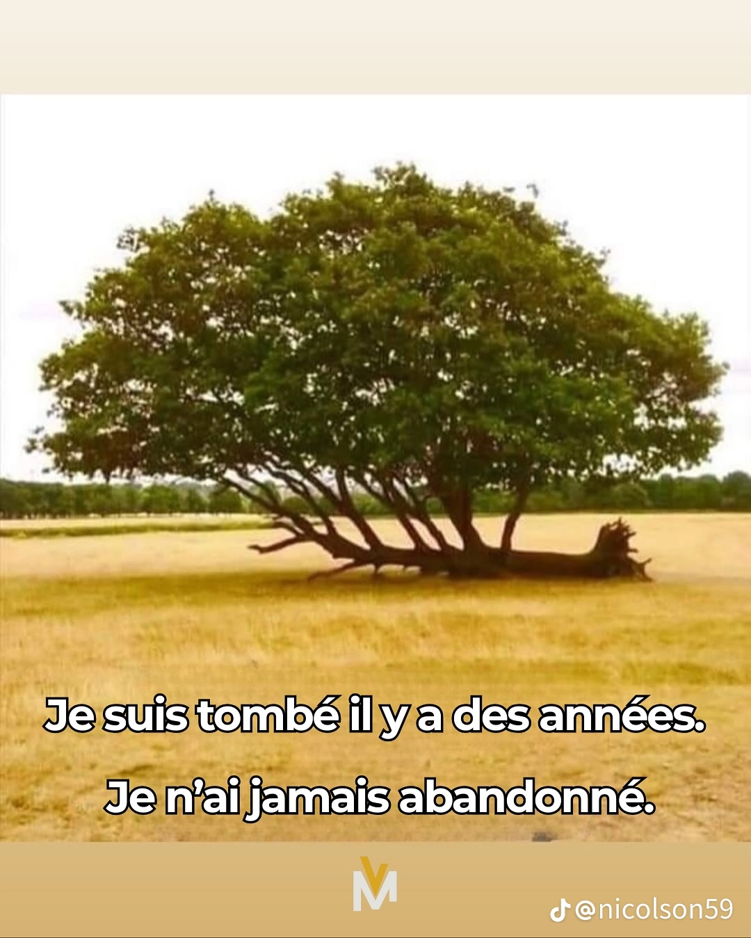 3626e8fd84c9a607cb59d3eea2454bcc