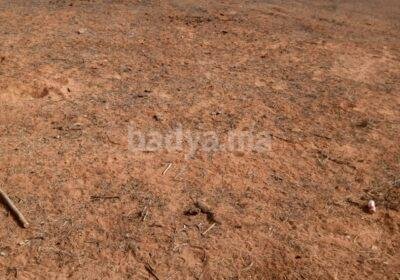 573330915-122269157066239471-3764982317199667217-n