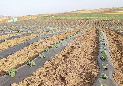 591760545-122113665153057470-5956844738257906597-n