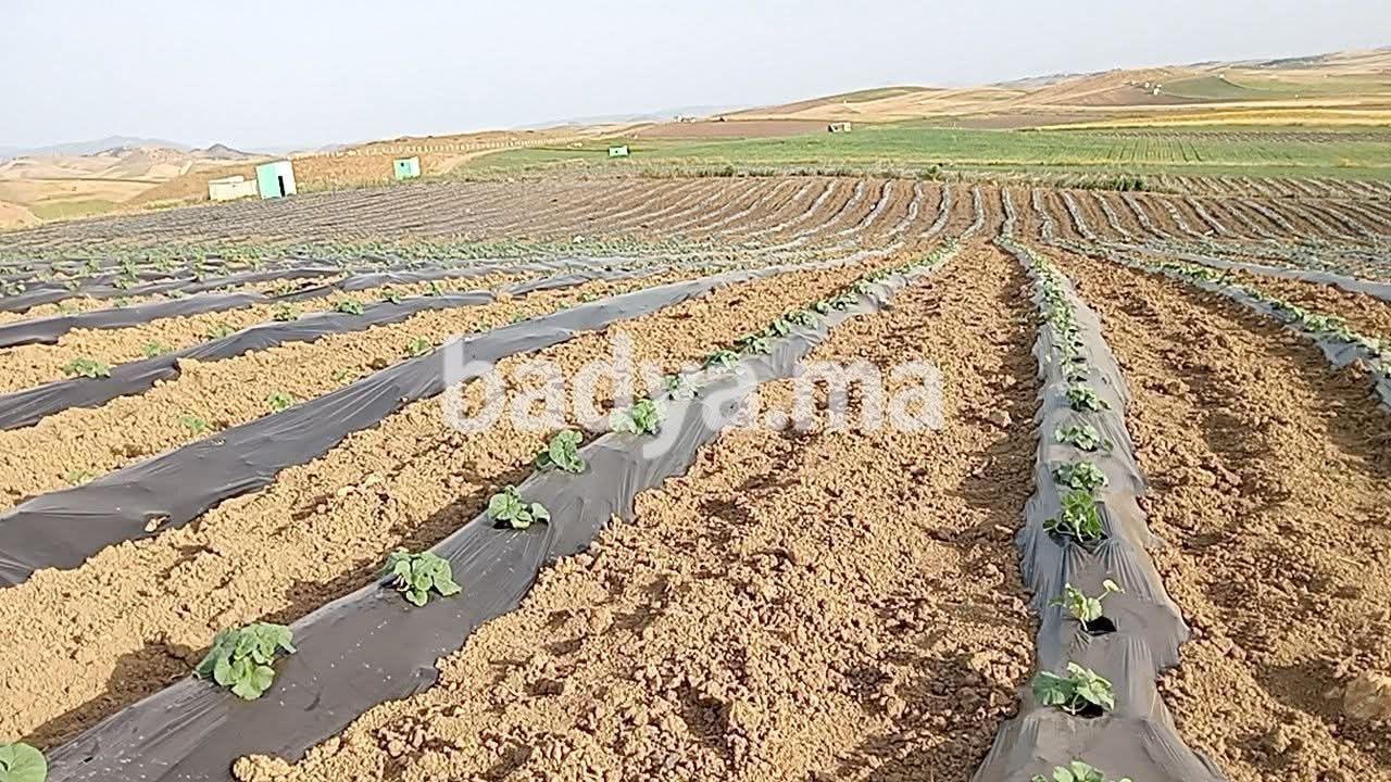 591760545-122113665153057470-5956844738257906597-n