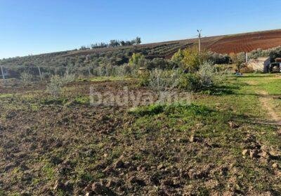 597661933-1193144602959068-6492341300521040186-n