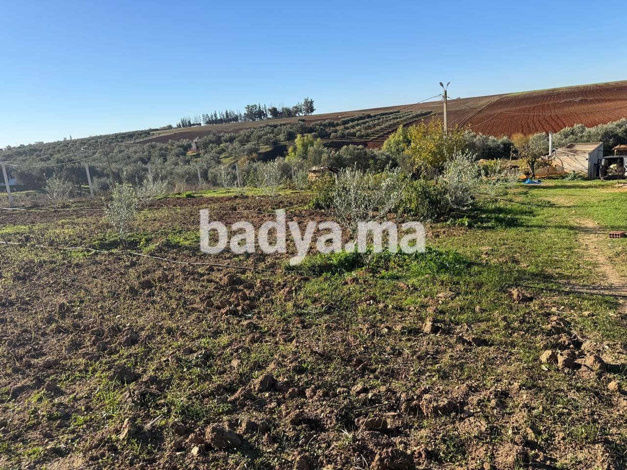 597661933-1193144602959068-6492341300521040186-n