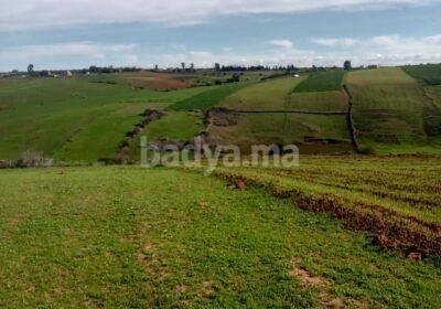 602913867-122278639388239471-3207970988194697133-n