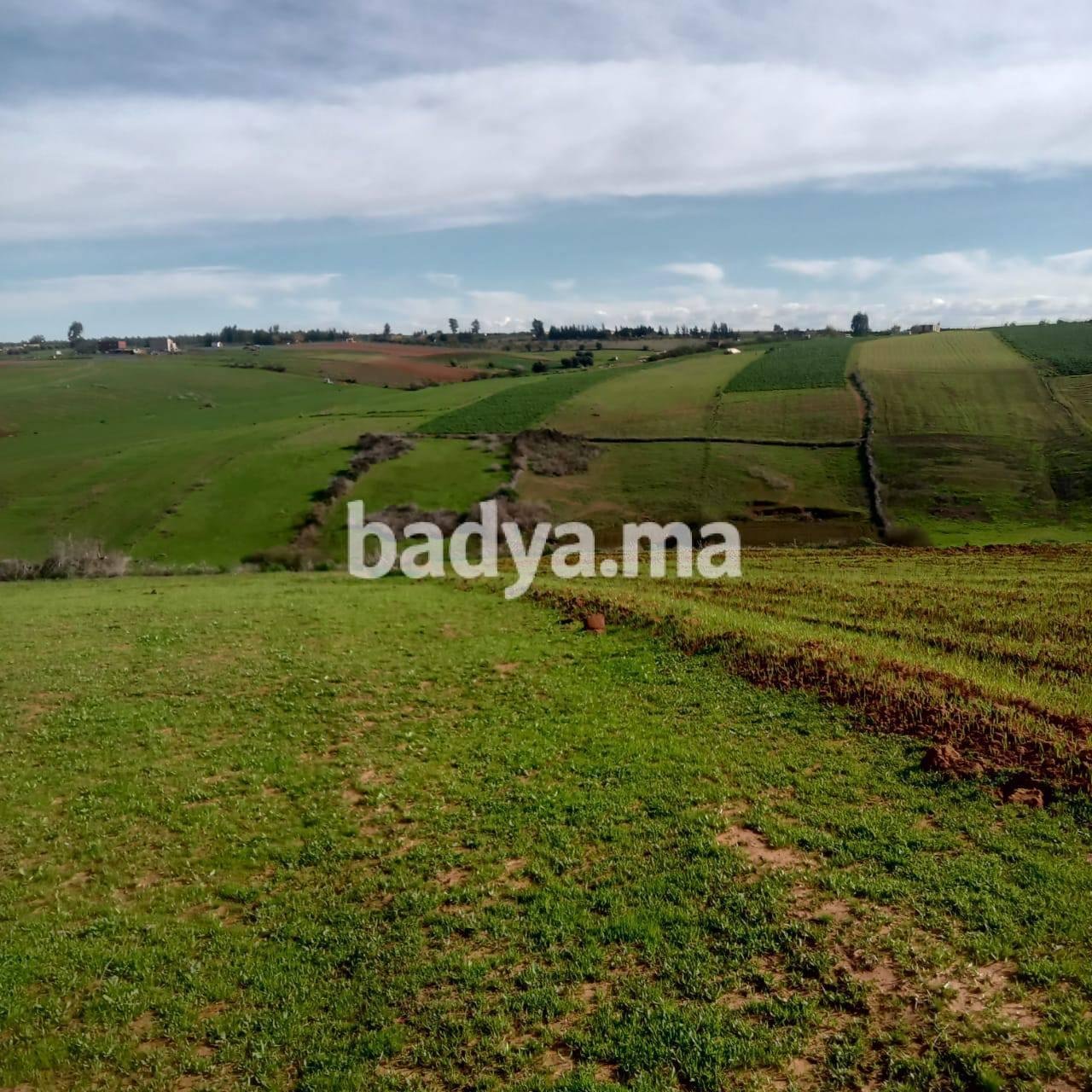 602913867-122278639388239471-3207970988194697133-n