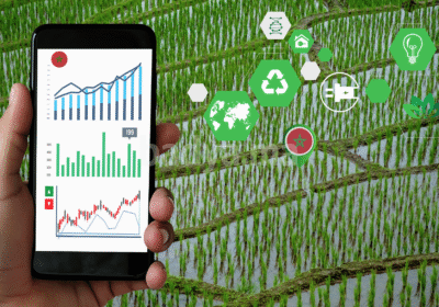 quand-la-technologie-descend-au-douar-ces-outils-qui-changent-lagriculture-marocaine