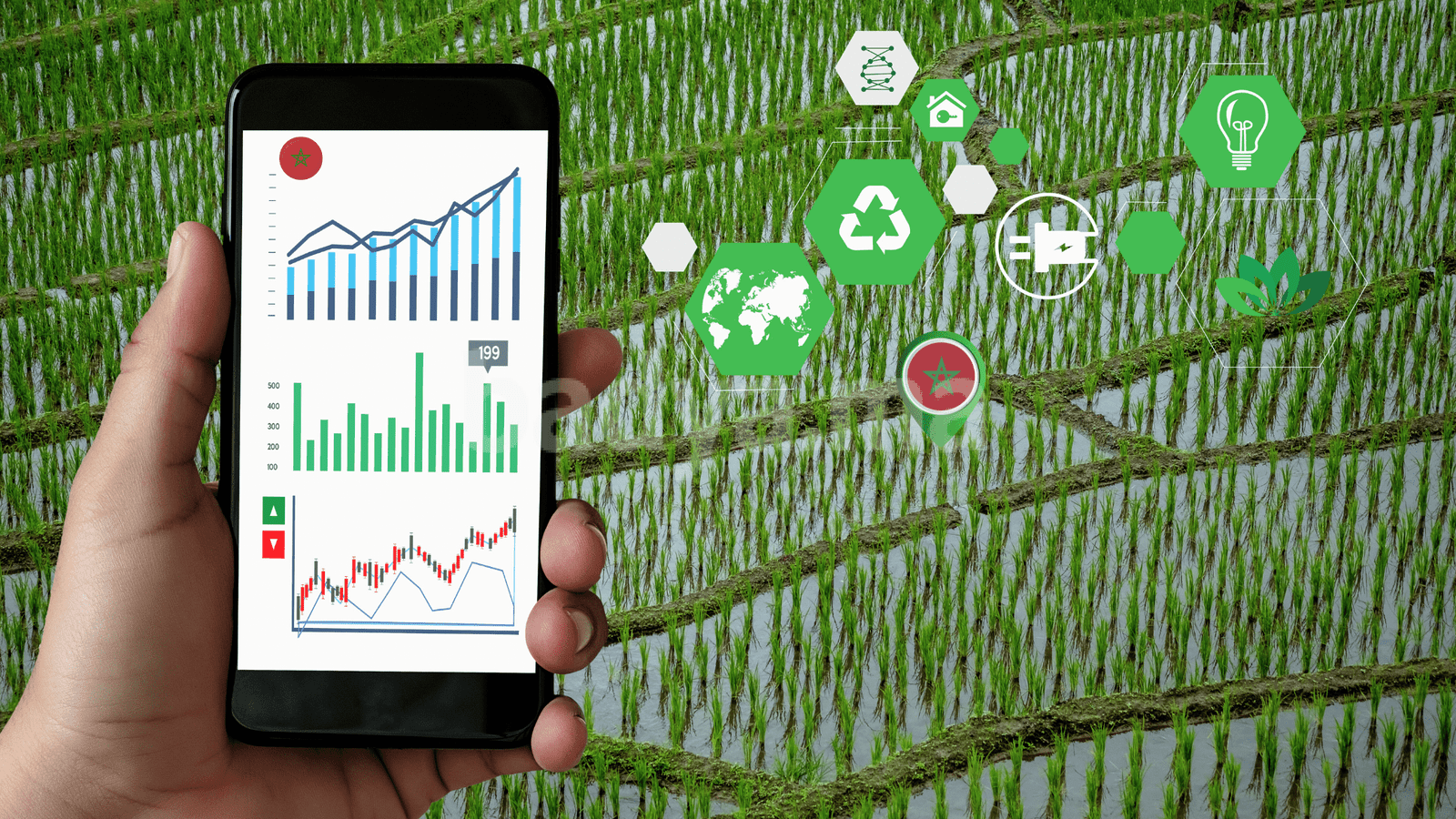 quand-la-technologie-descend-au-douar-ces-outils-qui-changent-lagriculture-marocaine