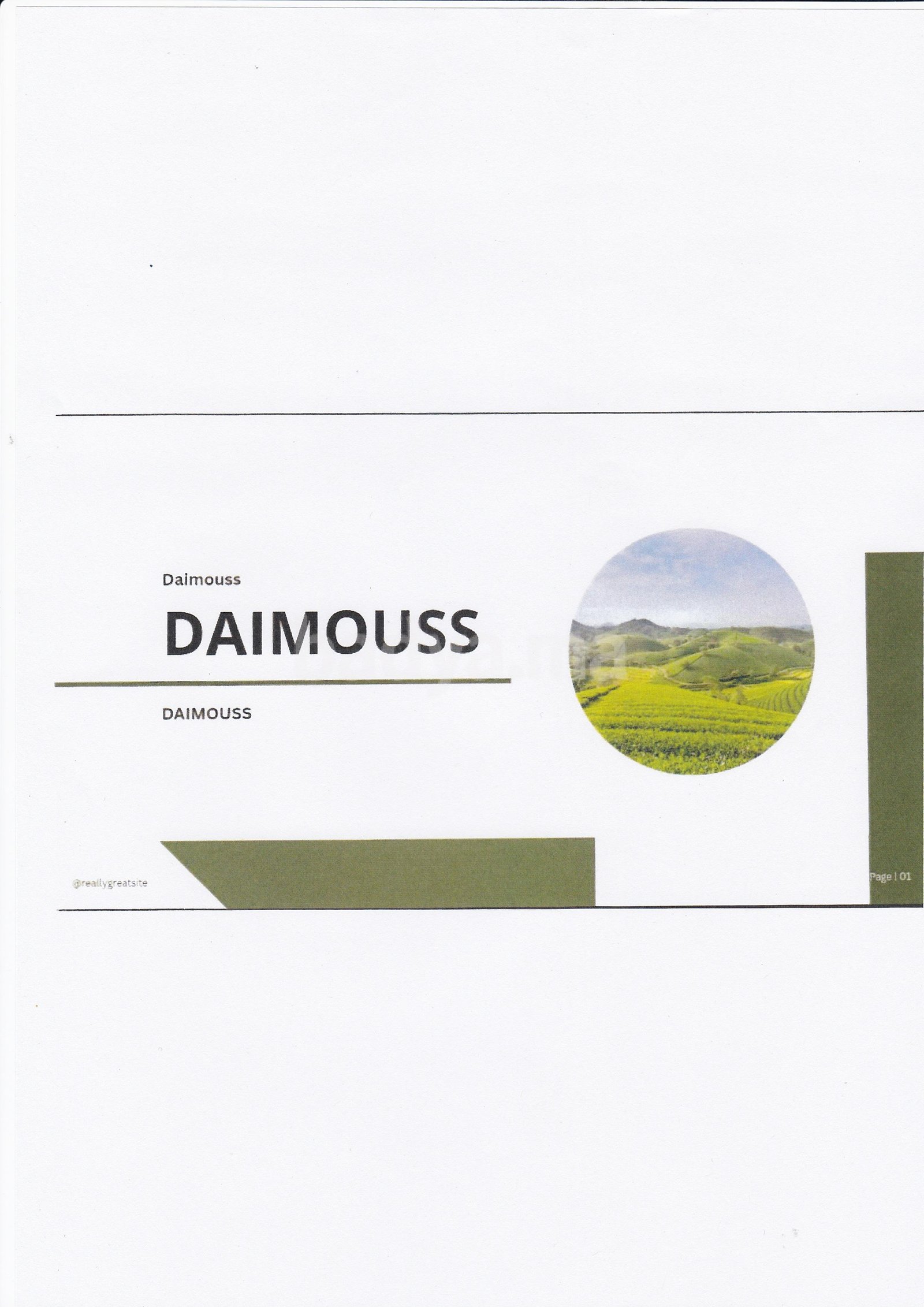 Lot de 5 parcelles agricoles titrées sur Daimouss/Tanger